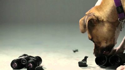 Luneta celownicza Vortex Diamondback 1.75-5x32 1" BDC