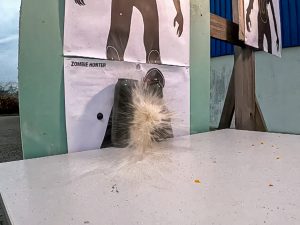 Strzelba lupara obrzyn na kule gumowe RAM Umarex T4E HDS