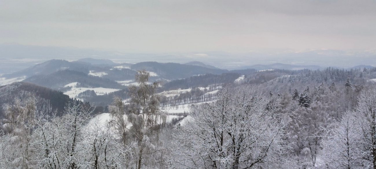 zlot grupy bushcraft traditional