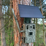 Kamera Fotopułapka H6 GSM