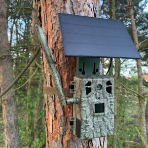 Kamera Fotopułapka H6 GSM