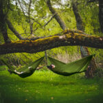 Hamak Lesovik Bystry treetop green