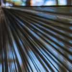 Hamak Lesovik SUL z zawieszeniem Sneka forest