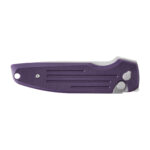 Nóż składany Ganzo Firebird FH926-PL