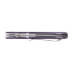 Nóż składany Ganzo Firebird FH926-PL