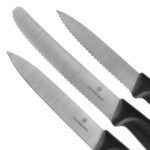 Zestaw noży kuchennych Victorinox Swiss Classic 6.7113.34 3 szt. czarny