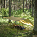 Tarp Lesovik GROZA disa pear