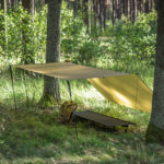 Tarp Lesovik GROZA disa pear