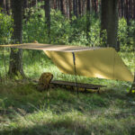 Tarp Lesovik GROZA disa pear